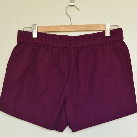 3/$30 - J. Crew Purple Shorts - Picture 3 of 5